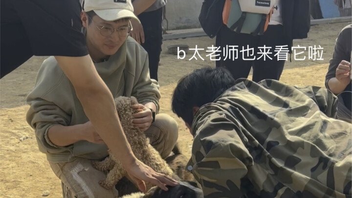 1 menit menyaksikan transformasi seratus hari si lucu anjing gembala Asia Tengah