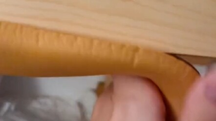 القط: ماذا؟ هل تريد مساعدة؟