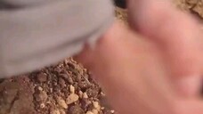 #เจียงลี่ เกิดใหม่พร้อมระบบHD