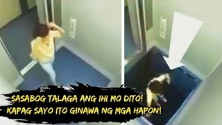 Grabe Ito! 6 Pinaka Nakakabaliw At Pinaka Nakakaiyak na Japanese Prank! /DMS TV/