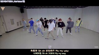 [SVT_Harbour subtitel bahasa Mandarin] 200704 Video Koreografi SEVENTEEN - My My
