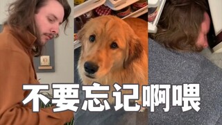 当你习惯独自生活，忘记了自己还有只狗…
