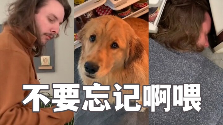 当你习惯独自生活，忘记了自己还有只狗…