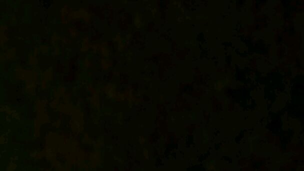 kapan punya pacar setia🗿