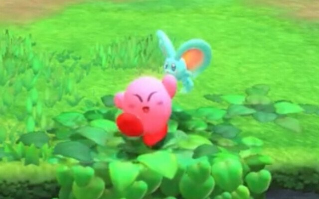 Kirby chào bạn