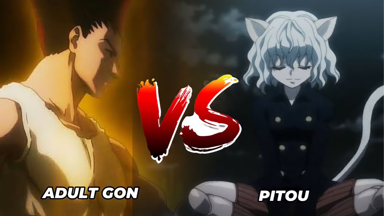 Gon vs Pitou Full Fight (60fps) - BiliBili