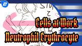 [Cells at Work!/Animatic] Neutrophil&Erythrocyte_2