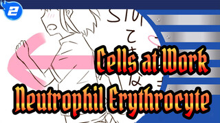[Cells at Work!/Animatic] Neutrophil&Erythrocyte_2
