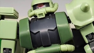 〖Beautiful〗New Green Zagu Real Object Display and Sharing