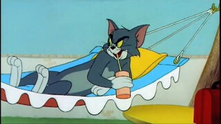 Cat's nap