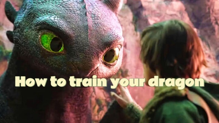 How to train your dragon