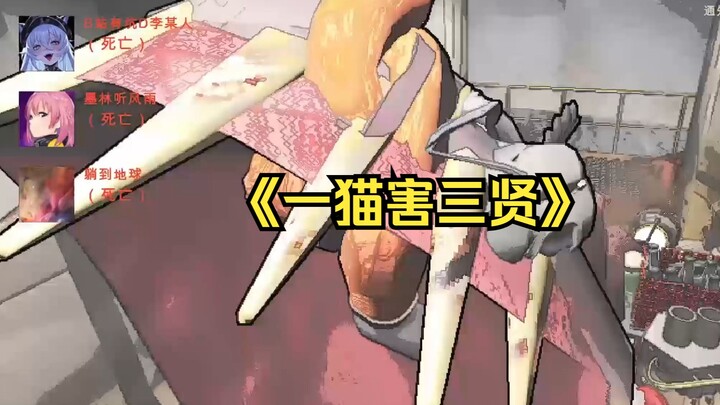 เมื่อคุณกำลังเล่นฟรีมิวสิก แต่แมวของคุณกลับนั่งดีดพิณอยู่…