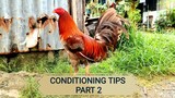 Conditioning Tips part 2