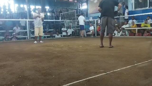 2x winner alimbuyugin