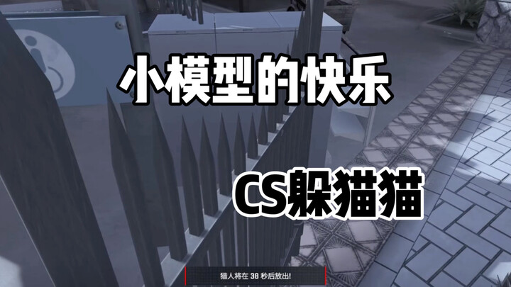 CS2 Hide and Seek: There Are Still Skilled Players