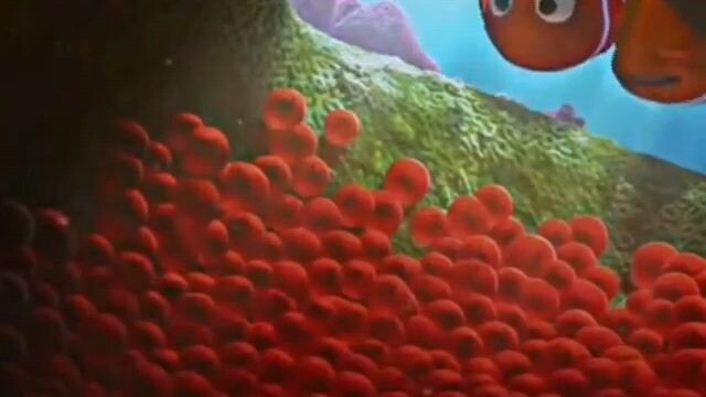 Nemo ( Gay Lingua Bisaya version)