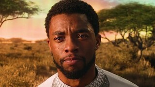 [4k60 เฟรม] Wakanda อาจได้รับการปกป้องโดยเสือดำสองตัว