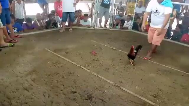 panalo naman ating lemon sweater 3x winner na