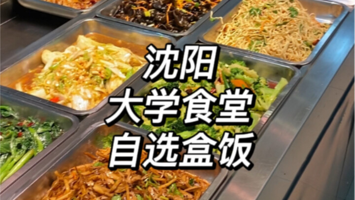 What’s it like to have a self-serve lunch featuring Northeastern Chinese cuisine at a university in 