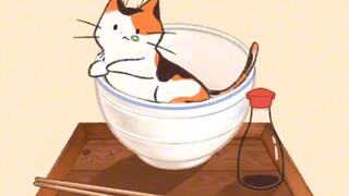 “不同猫咪是如何诞生的”
