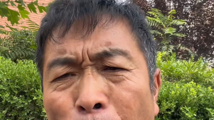 Bunga Bauhinia mekar penuh