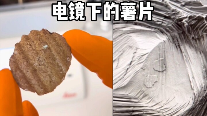 Conductive golden potato chips—hungry yet?
