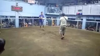 whitejacket pacquiaohelicopter