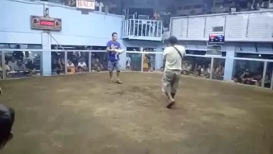 whitejacket pacquiaohelicopter