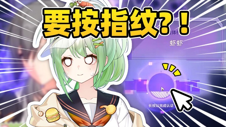 Newbie's highest level of game understanding in Honkai: Star Rail.