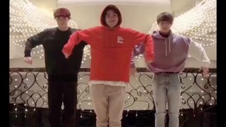 【力丸赞多】抓捕到两只跳舞的小可爱