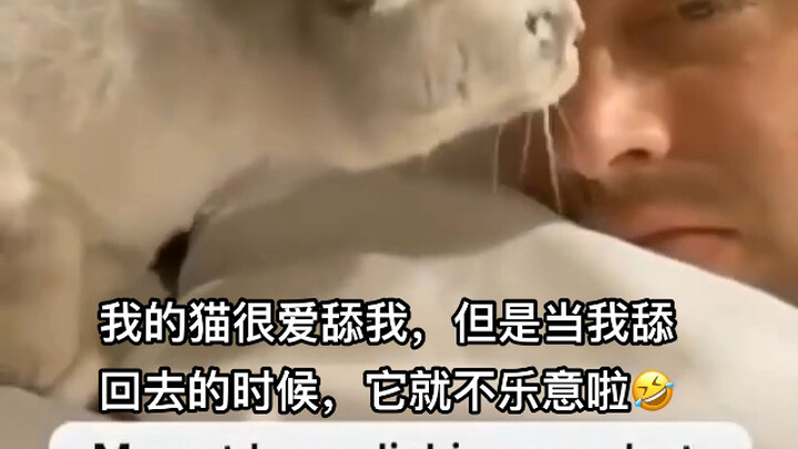 How dare you! Who told you to lick me?