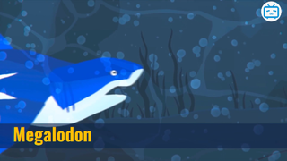 Megalodon Vs Cá Voi Xanh- Đâu là Sinh Vật Biển Lớn Số 1 #kienthuc