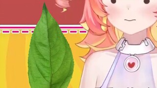 Nếu có thể chuyển đổi giới tính, tôi sẽ...