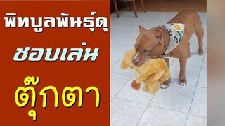 ลาเต้กับไลอ้อน