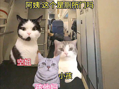 The Awkward First Time I Used the Plane’s Toilet