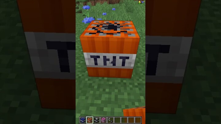 มายคราฟ แต่"TNT"ทำให้คอมพังได้!? #minecraft #มายคราฟ #minecraftbut #tnt