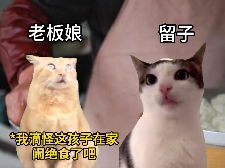 留子回国干饭Be like
