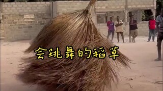 แท้จริงแล้ว มนต์ขลังอะไรกันแน่ที่สามารถบังคับให้ฟางข้าวเต้นรำได้?