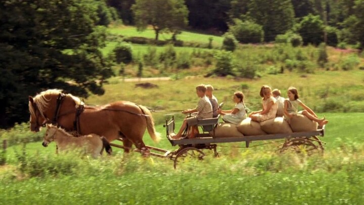 No need to think—just watching this movie is incredibly soothing and joyful!!