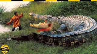 🔴 Những Vị Vua Uy Lực Nhất Thế Giới Động Vật Mà Sinh Vật Nào Cũng Phải Kính Nể