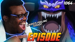 KAIDO Vs LUFFY TAKES A WILD TURN AS KAIDO DRINKS ORGER KILLER | One Piece FULL Episode 1064 Reaction