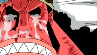 [One Piece 1018+]. Ai mới là Thần Mặt Trời Nika p8
