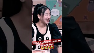 Haruka gak mau balik ke jepang lagi 🤣🤣🤣🤣#tonightshow #nettv #tonightshownet #desta #vincent #vindes