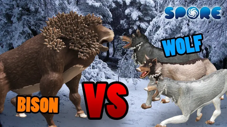 Bison vs Gray Wolf | Animal Fight Club [S2E10] | SPORE - Bilibili