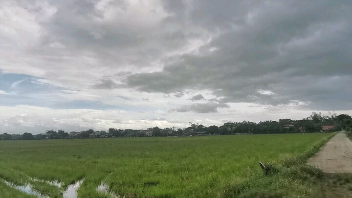 Bukid
