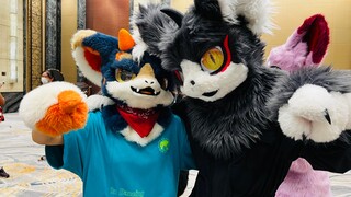 【Fursuit dance 兽装舞蹈】极兽聚抓到同乡的后辈迹凡同学 进行一个solo的跳hhh