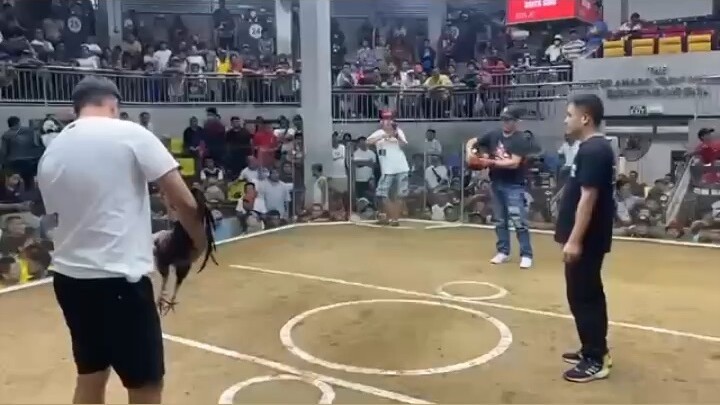 Firebird angels super red! (DMCA) Del Monte Cockpit Arena 5 C🐔ck deeby Feb 2026