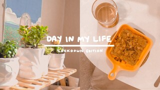 Day in my life🚪lockdown edition, cornflakes french toast, new baby plants