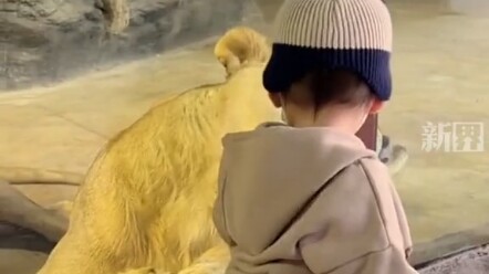 This is what it means to be a fearless newbie.