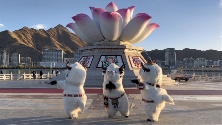 Keluarga sekalian, tolong dukung Xiao Niu Sasa ya! Sambil menikmati cahaya senja di Sungai Lhasa, ma